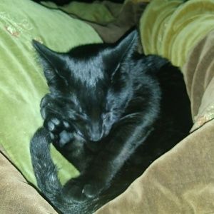 Meet your Posher, Maddie